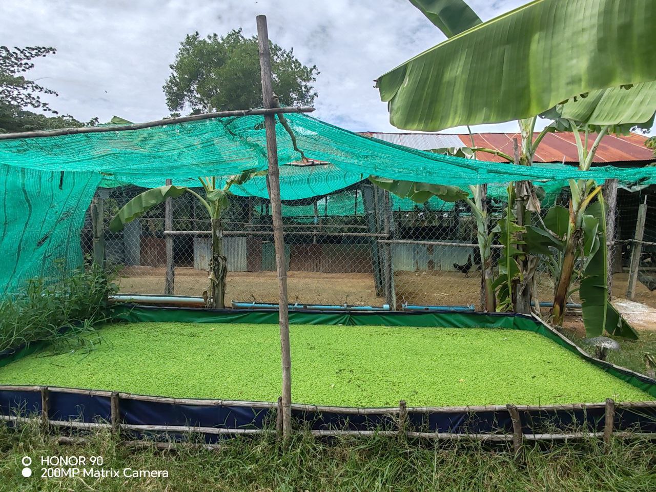 photo_4_2024-07-25_14-46-36