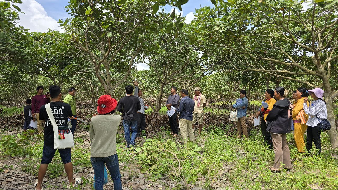 photo_6_2025-07-28_15-05-59
