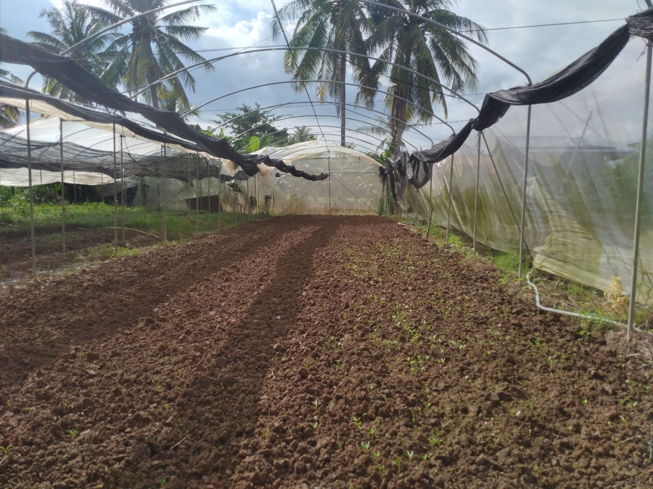 photo_4_2025-11-20_16-09-13