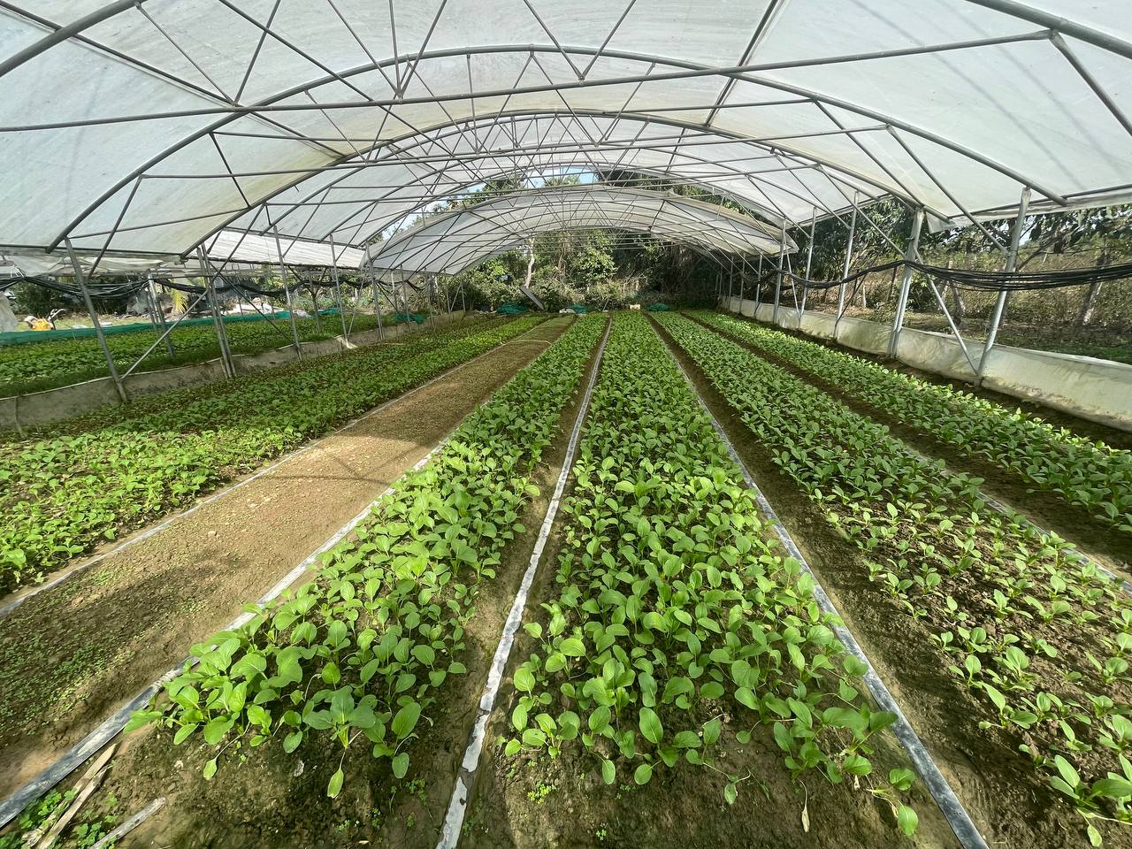 photo_1_2026-02-10_15-03-41